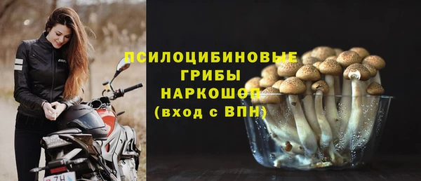 сатива Аркадак