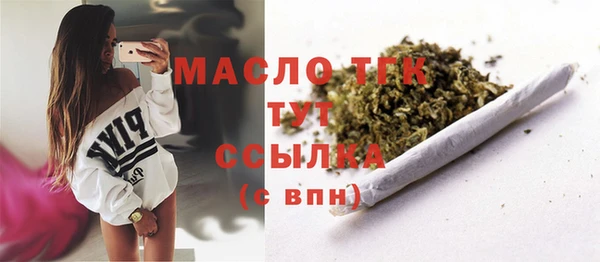 сатива Аркадак