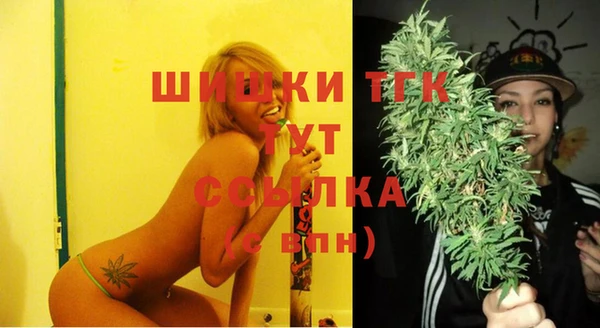 сатива Аркадак