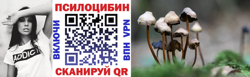 Галлюциногенные грибы мицелий Чердынь
